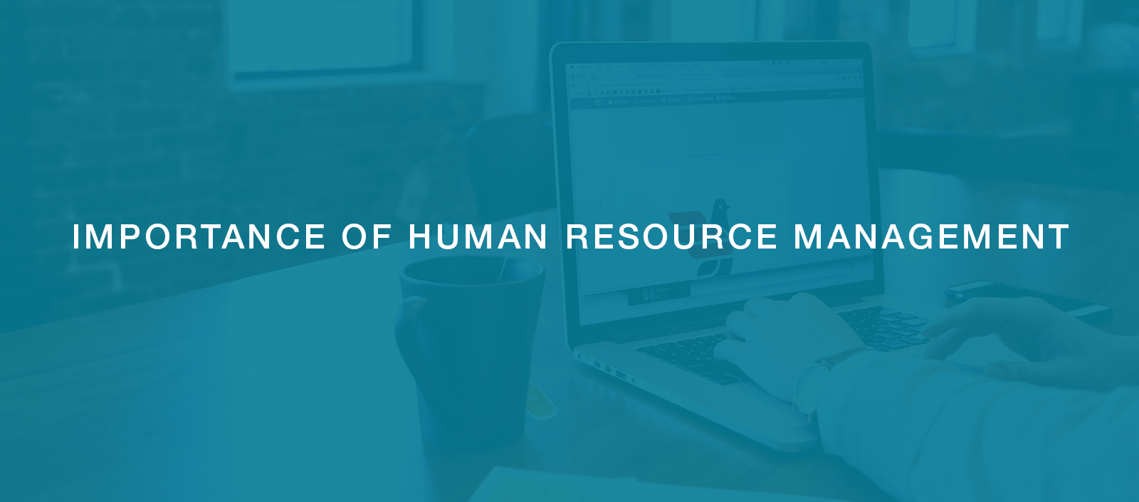 Mettl Guide: Importance of Human Resource Management